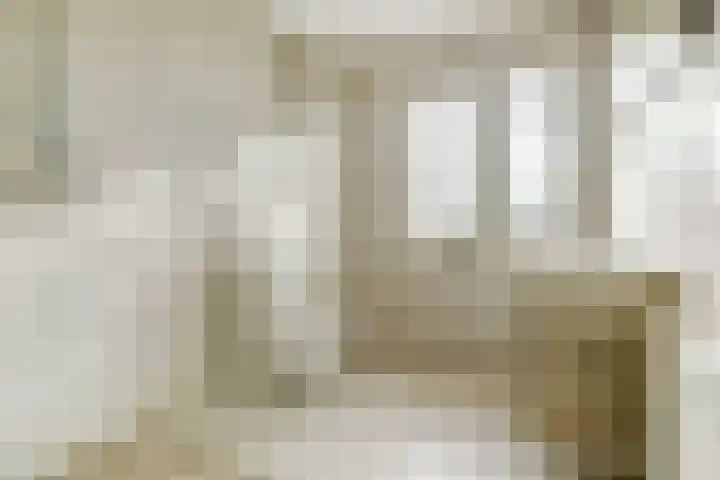 't Hof 3 's-Gravenzande thumbnail 4
