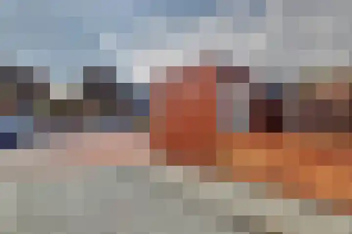 't Hof 3 's-Gravenzande thumbnail 9