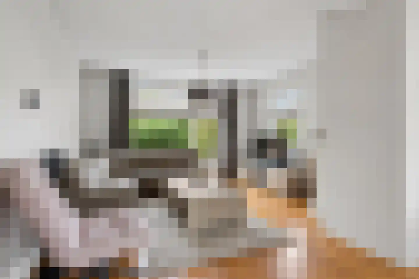 't Hof 9 Gendt thumbnail 12