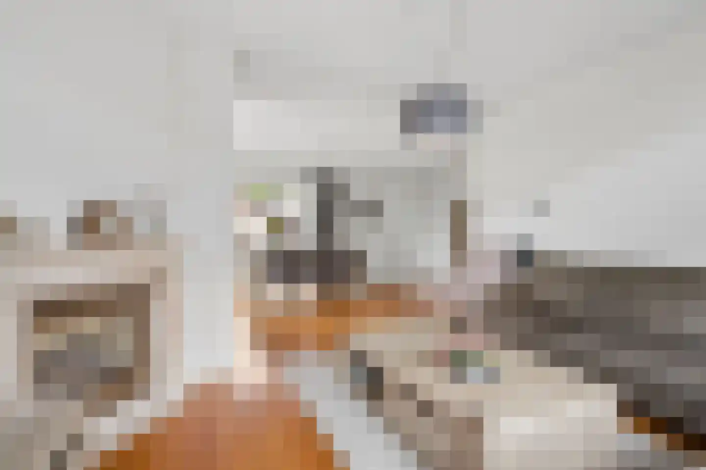 't Hof 9 Gendt thumbnail 13