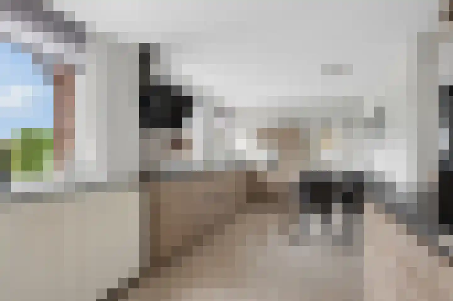 't Hof 9 Gendt thumbnail 16