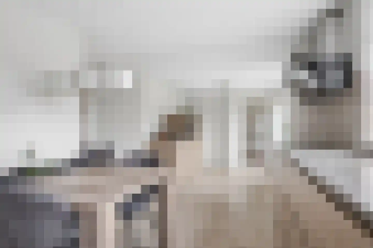 't Hof 9 Gendt thumbnail 19