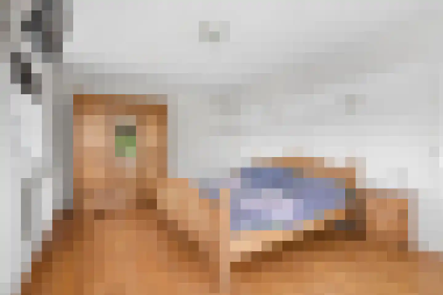 't Hof 9 Gendt thumbnail 28