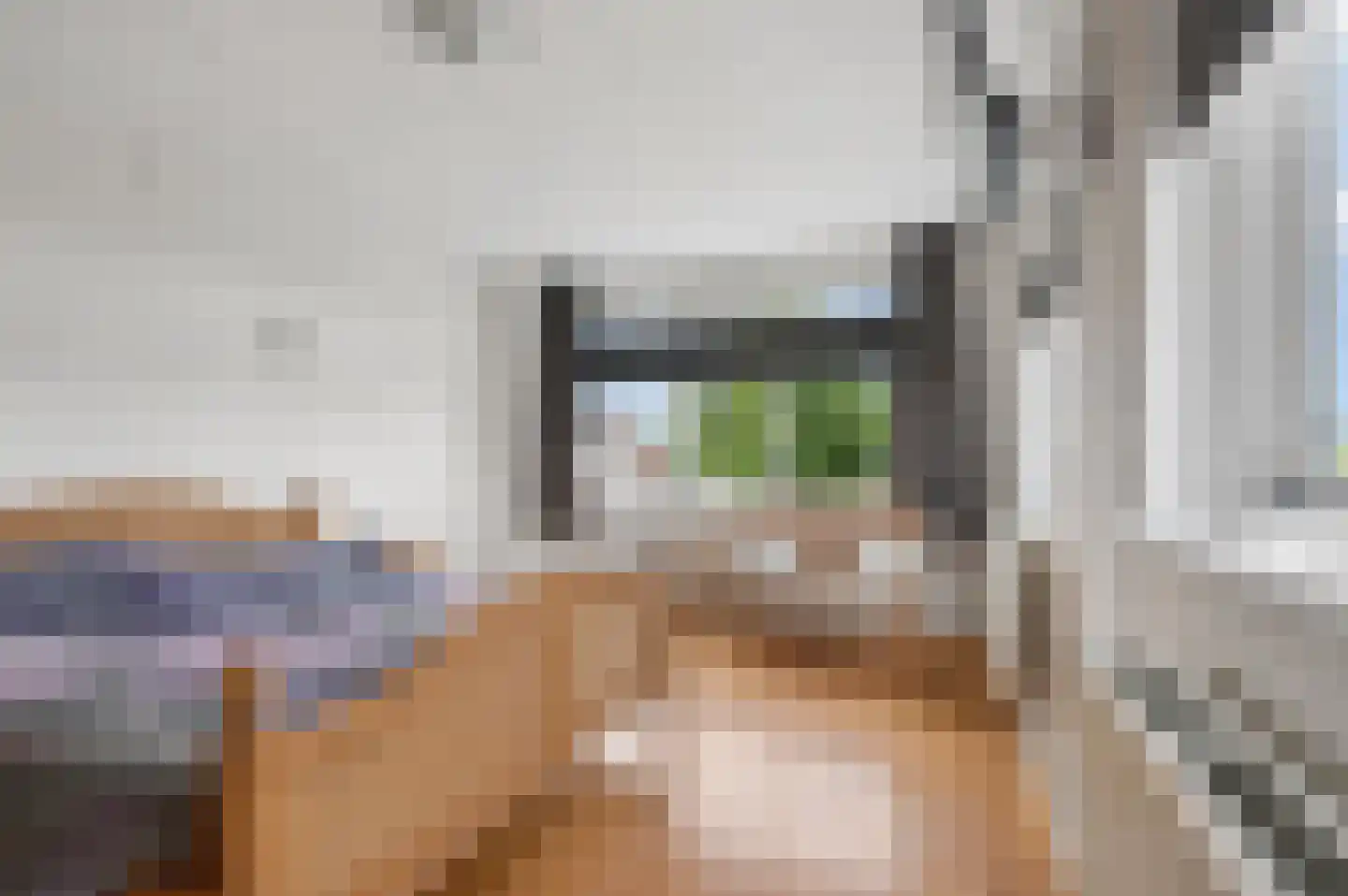 't Hof 9 Gendt thumbnail 29