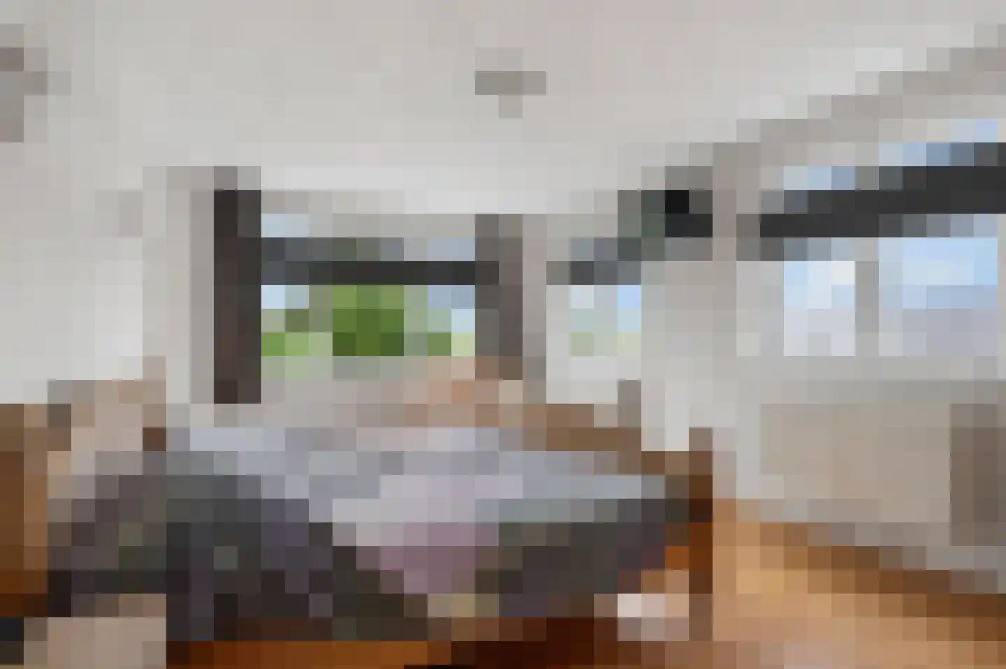 't Hof 9 Gendt thumbnail 30
