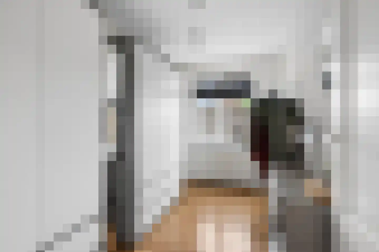 't Hof 9 Gendt thumbnail 31