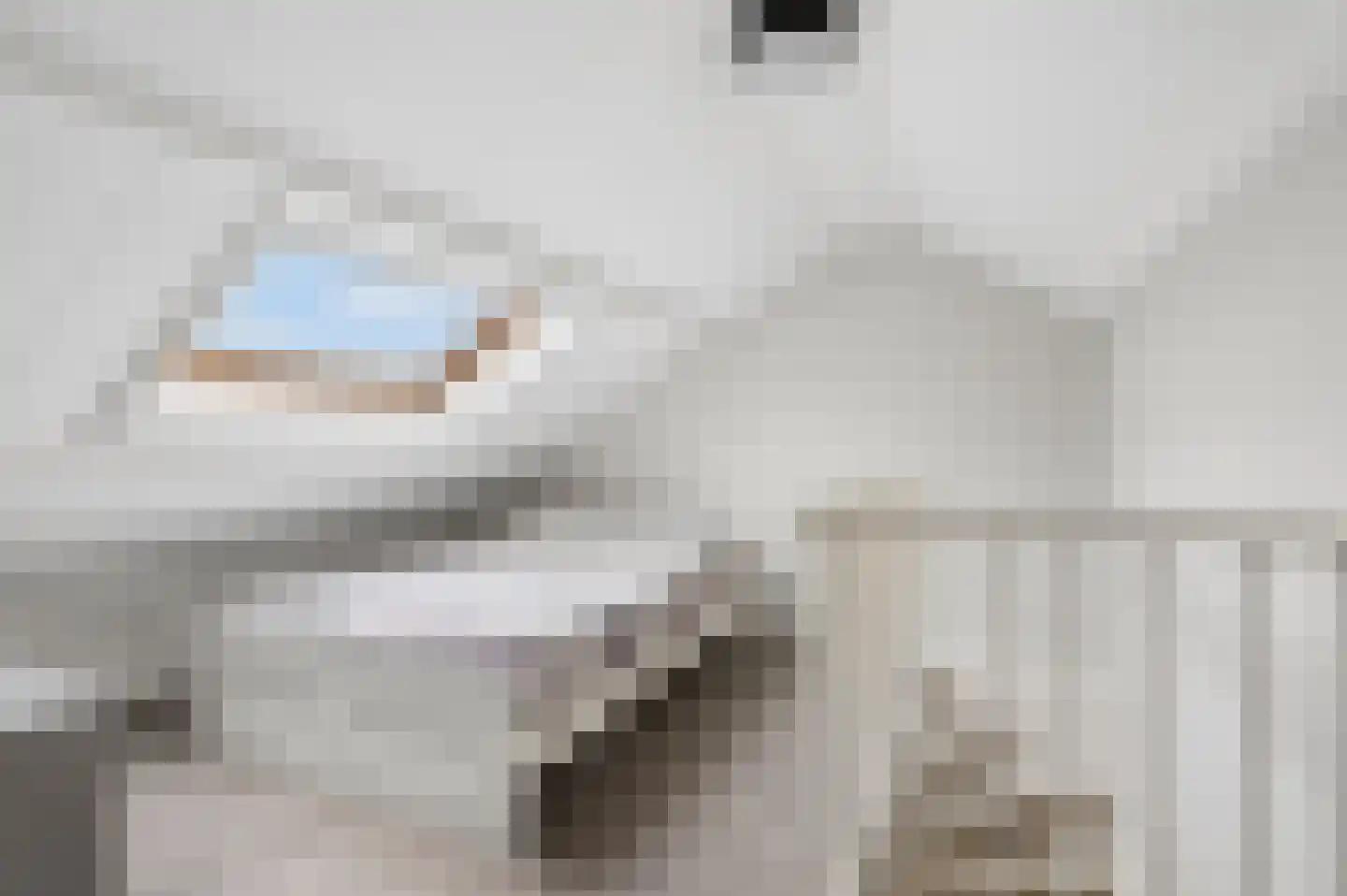 't Hof 9 Gendt thumbnail 40