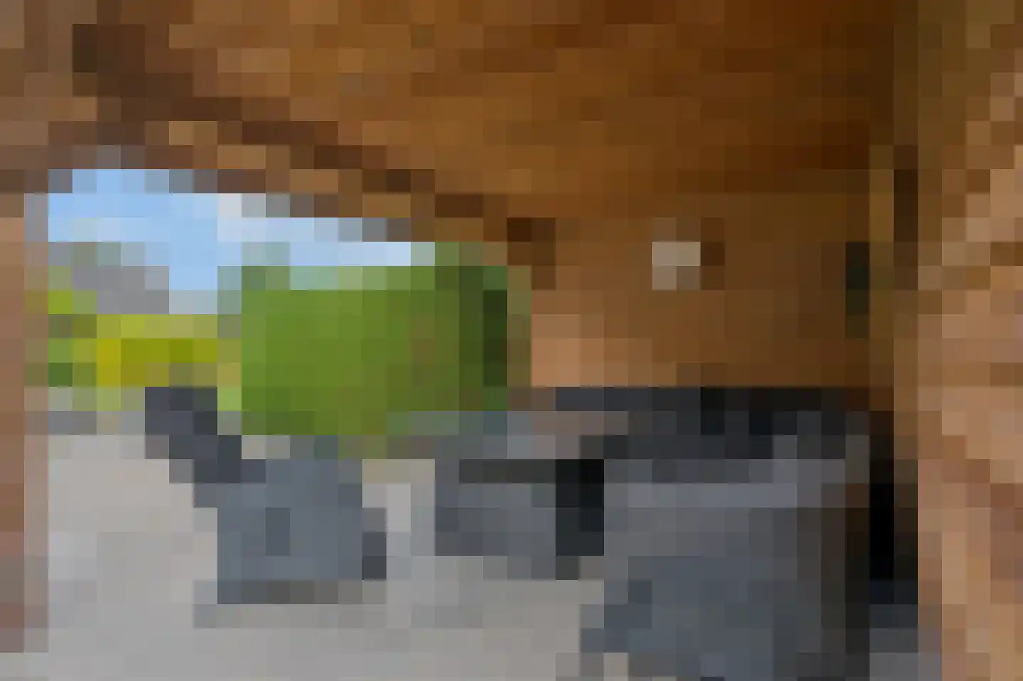't Hof 9 Gendt thumbnail 54