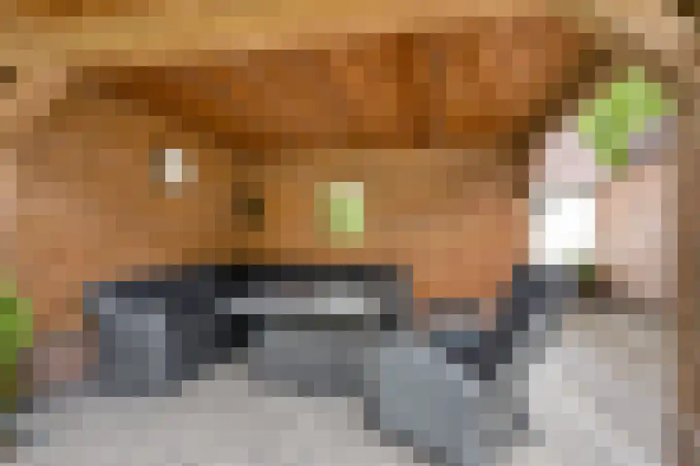 't Hof 9 Gendt thumbnail 55