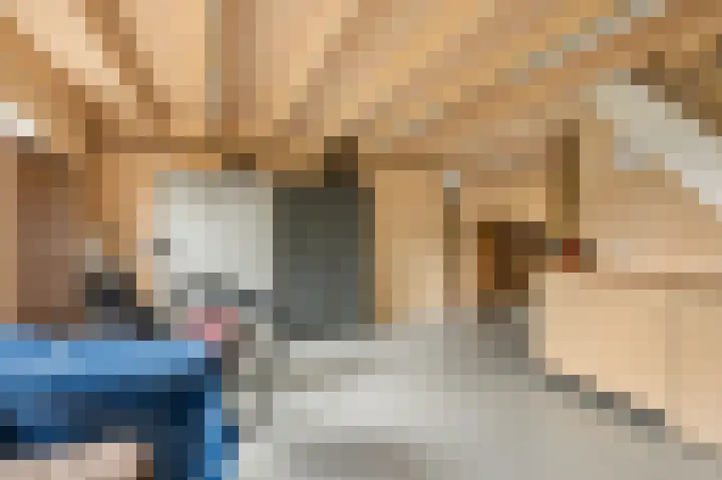 't Hof 9 Gendt thumbnail 57