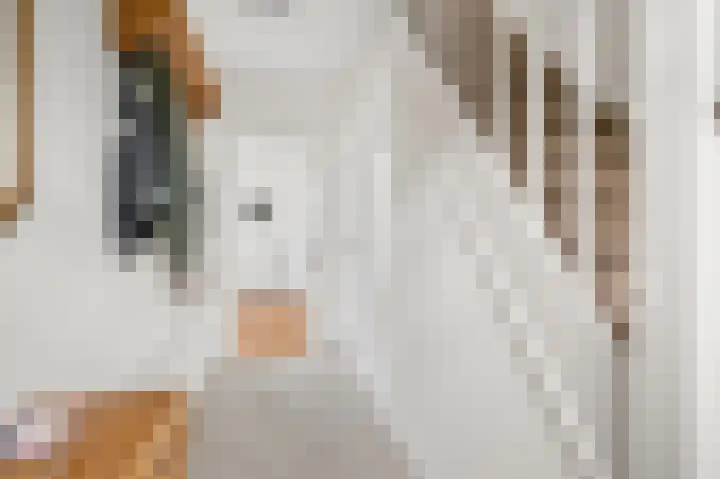 't Hof 9 Gendt thumbnail 6