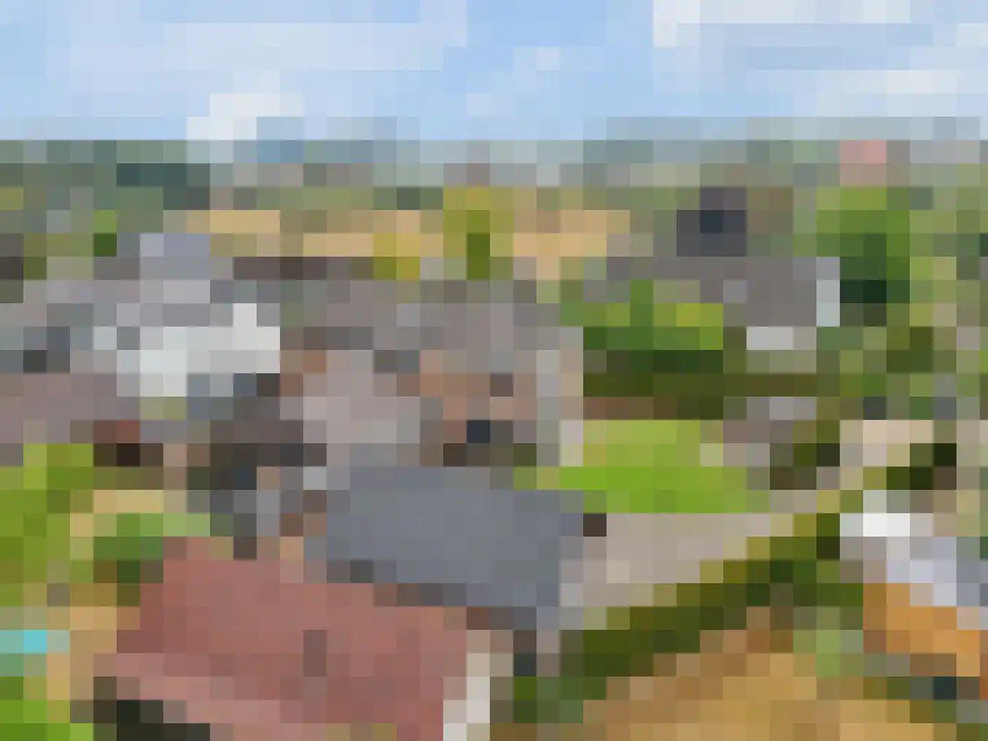 't Hof 9 Gendt thumbnail 65