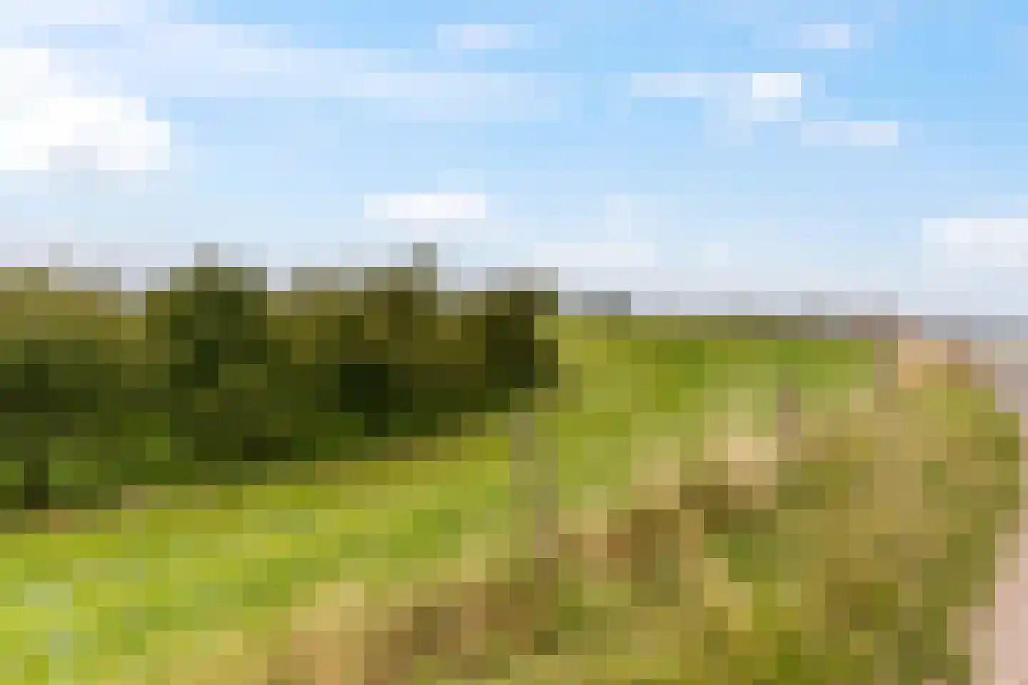 't Hof 9 Gendt thumbnail 69