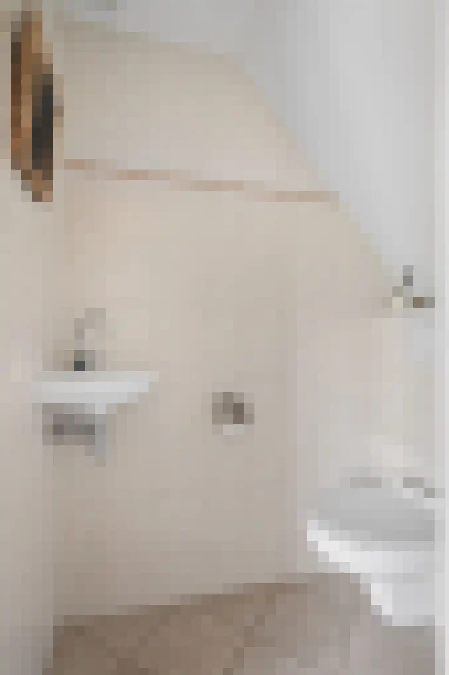 't Hof 9 Gendt thumbnail 8