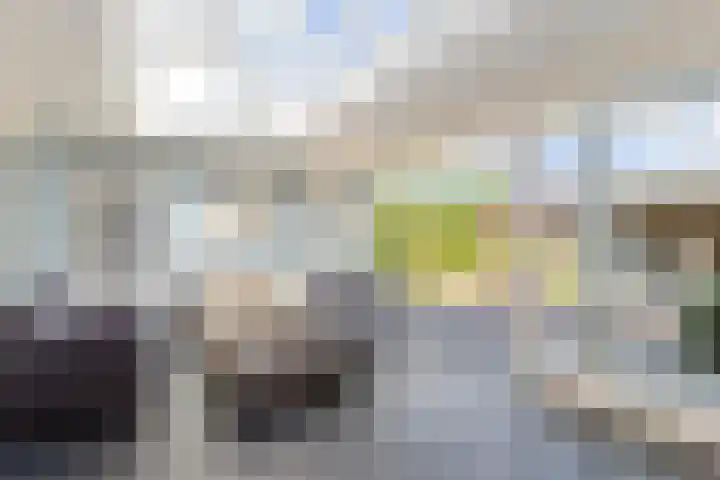 't Hofflandt 35 Ulvenhout thumbnail 23