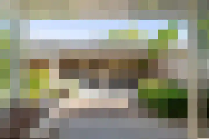 't Hofflandt 35 Ulvenhout thumbnail 29