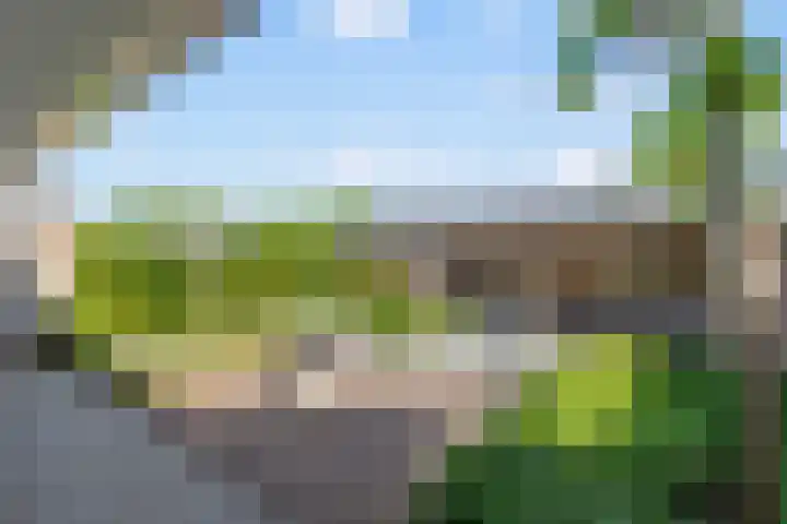 't Hofflandt 35 Ulvenhout thumbnail 42