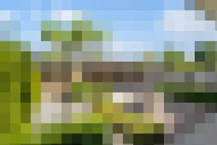 't Hofflandt 35 Ulvenhout thumbnail 43