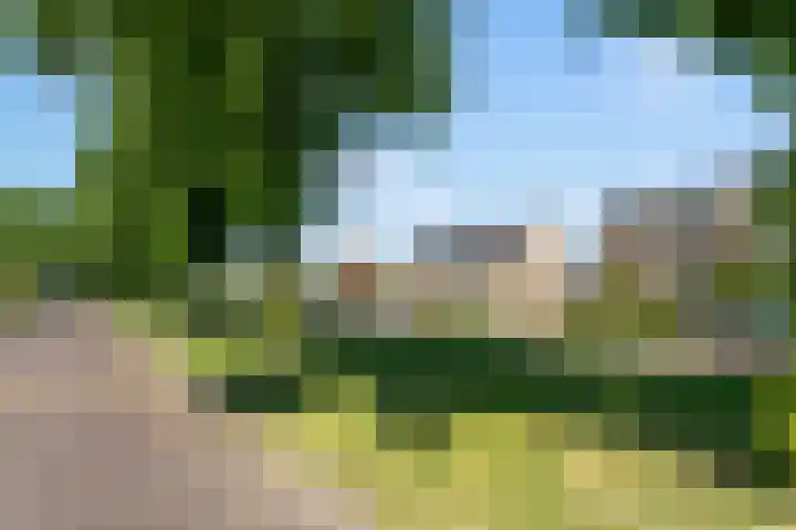 't Hofflandt 35 Ulvenhout thumbnail 47