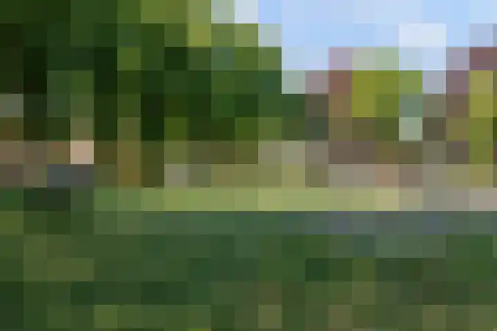 't Hofflandt 35 Ulvenhout thumbnail 48