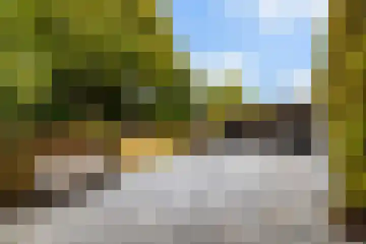 't Hofflandt 55 Ulvenhout thumbnail 36