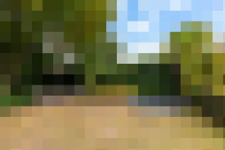 't Hofflandt 55 Ulvenhout thumbnail 40