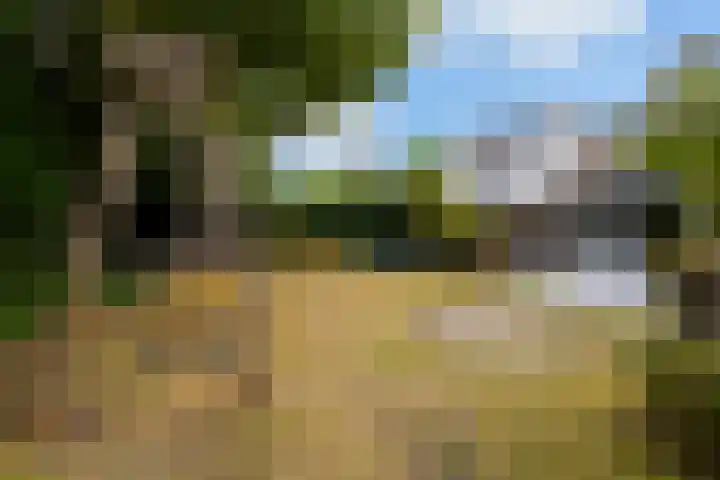 't Hofflandt 55 Ulvenhout thumbnail 41