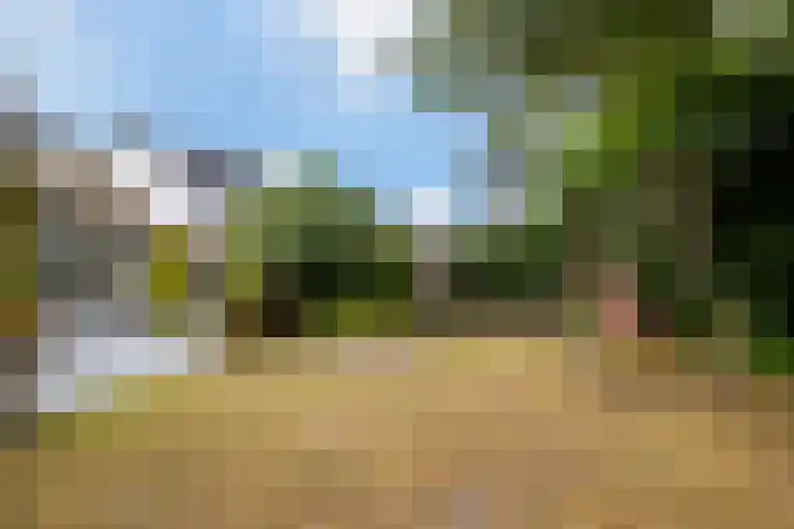 't Hofflandt 55 Ulvenhout thumbnail 42