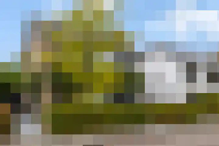 't Hofflandt 55 Ulvenhout thumbnail 6