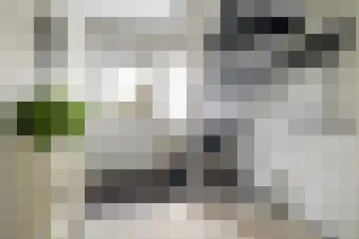 't Hofflandt 55 Ulvenhout thumbnail 7