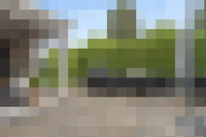 't Hofflandt 7 Ulvenhout thumbnail 46
