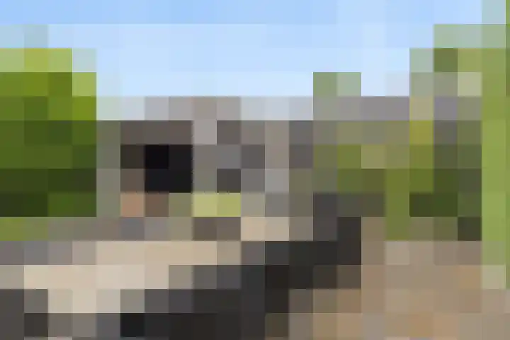 't Hofflandt 7 Ulvenhout thumbnail 47