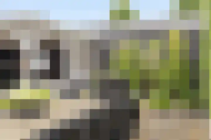 't Hofflandt 7 Ulvenhout thumbnail 48
