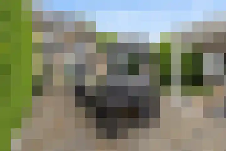 't Hofflandt 7 Ulvenhout thumbnail 49