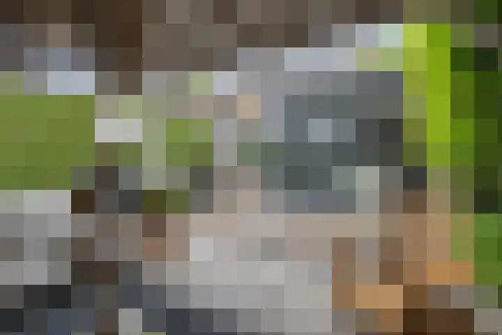 't Hofflandt 7 Ulvenhout thumbnail 51