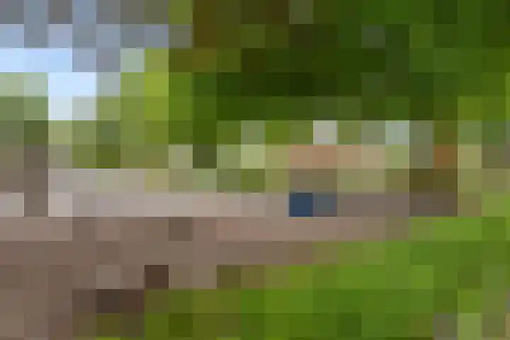 't Hofflandt 7 Ulvenhout thumbnail 53