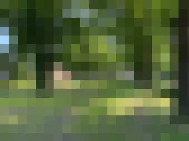 't Hofflandt 7 Ulvenhout thumbnail 54