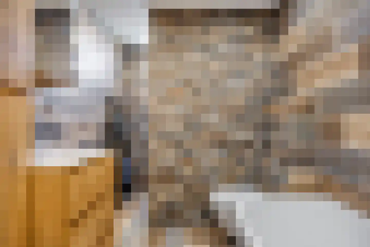 't Hofje 19 Oude Wetering thumbnail 13