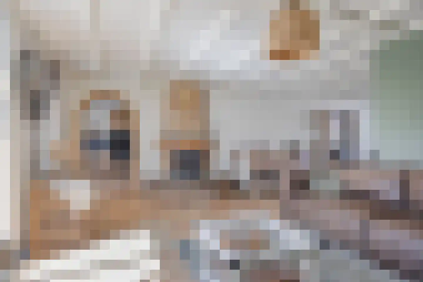 't Hofje 19 Oude Wetering thumbnail 4