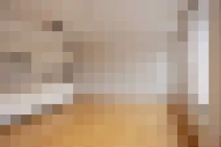 't Hofke 113 Eindhoven thumbnail 5