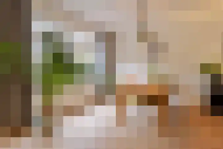 't Hofke 32 Eindhoven thumbnail 10