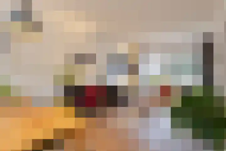 't Hofke 32 Eindhoven thumbnail 11