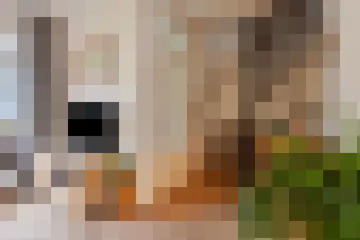 't Hofke 32 Eindhoven thumbnail 13