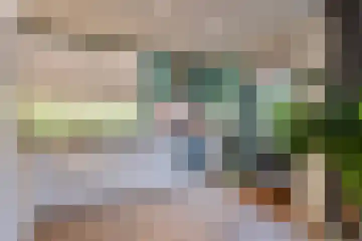 't Hofke 32 Eindhoven thumbnail 14