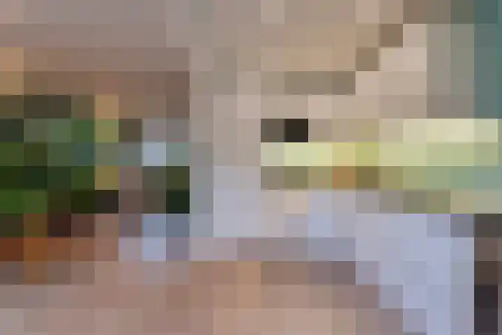 't Hofke 32 Eindhoven thumbnail 16