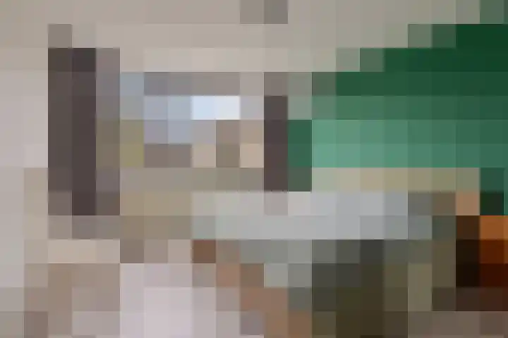 't Hofke 32 Eindhoven thumbnail 20