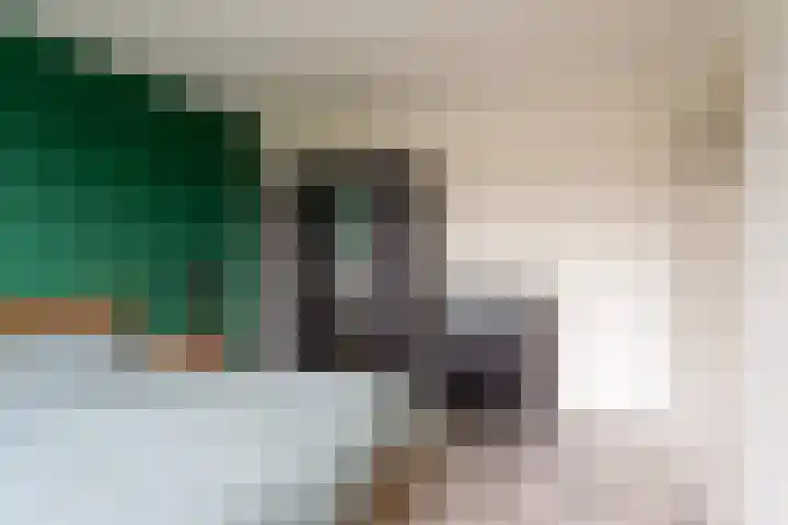 't Hofke 32 Eindhoven thumbnail 21