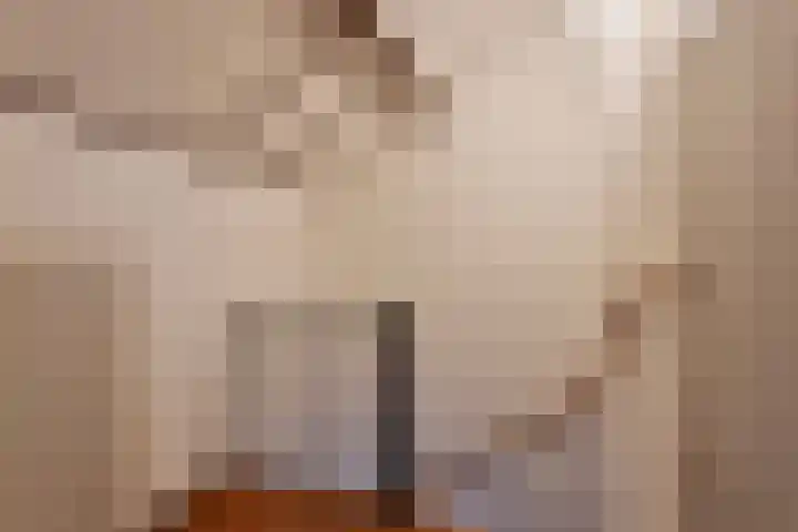 't Hofke 32 Eindhoven thumbnail 29