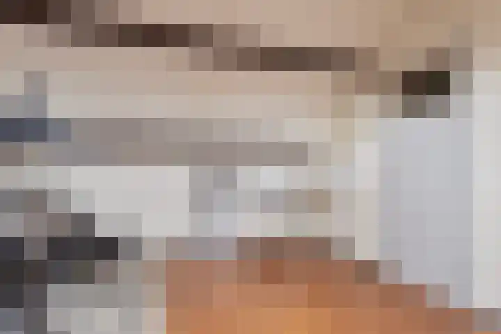 't Hofke 32 Eindhoven thumbnail 31