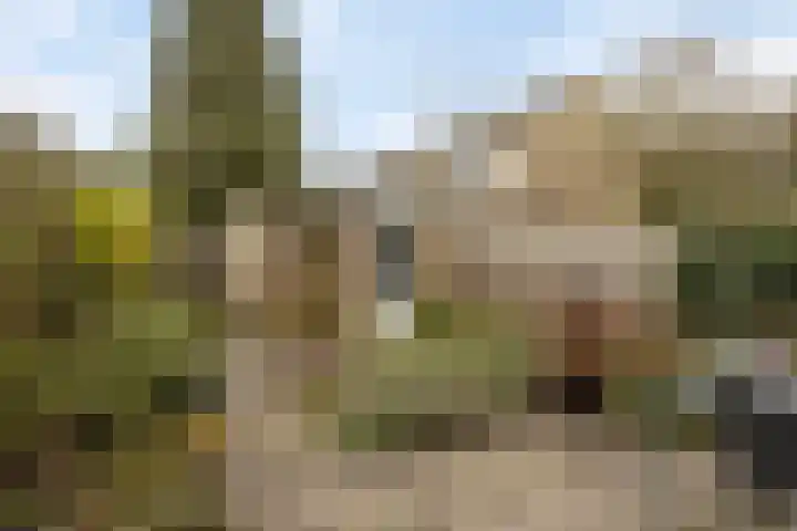 't Hofke 32 Eindhoven thumbnail 33